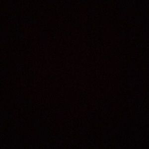 Meet your Posher, Maggie